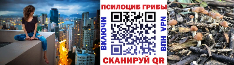 Купить  Кирсанов  Галлюциногенные грибы Psilocybe 